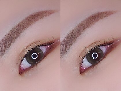 エース(ace)の写真