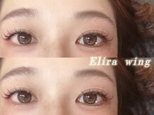 エリラ ウィング 自由が丘(Elira Wing)/ブラウンmix/わんほん/自由ヶ丘