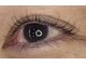 アロハナプラス(ALOHANA+)の写真/ママ必見！まつげパーマで朝メイク時短◎コスパ◎で賢くキレイになれるサロン♪