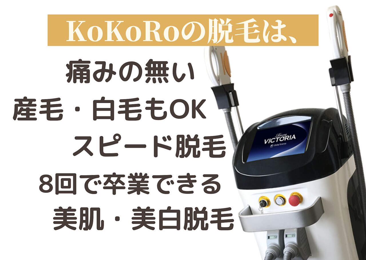 海外輸入 【ぽぴこ様専用】那須高原 自在荘 2名様 宿泊券 一泊2食付き