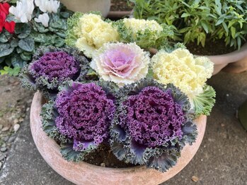 和楽治療院 神楽坂/外観