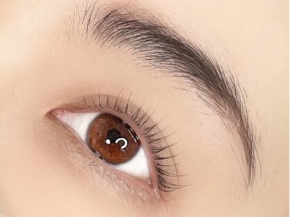 ウルアイラッシュ(Ulu eyelash)の写真