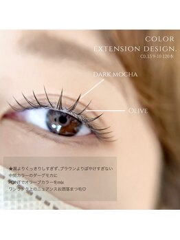 アヴァンティア(AVANTIA)/フラットカラー120本