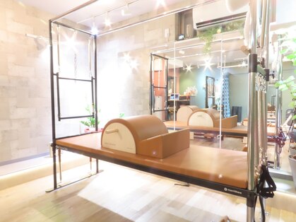 オット(OTTO)の写真