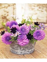 プチローズ/三寒四温とはよく言ったものね♪