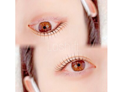 エル(Elle)の写真