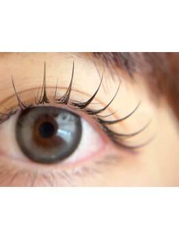 エクステの種類が豊富