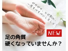 うとうと/角質取りやってます