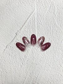 定額ベーシックコース