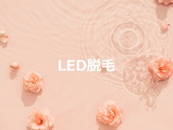 ルナステラ 七尾店/LEDローズ脱毛
