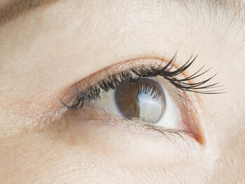 ユーキャン(You Can)/プレミアムセーブル本数無制限