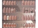 上品系キャンペーンネイル