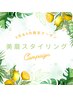 《5月＆6月限定クーポン☆》レディース似合わせ美眉スタイリング 今だけ¥3960