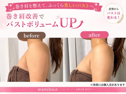 ミミバスト(mimibust)の写真