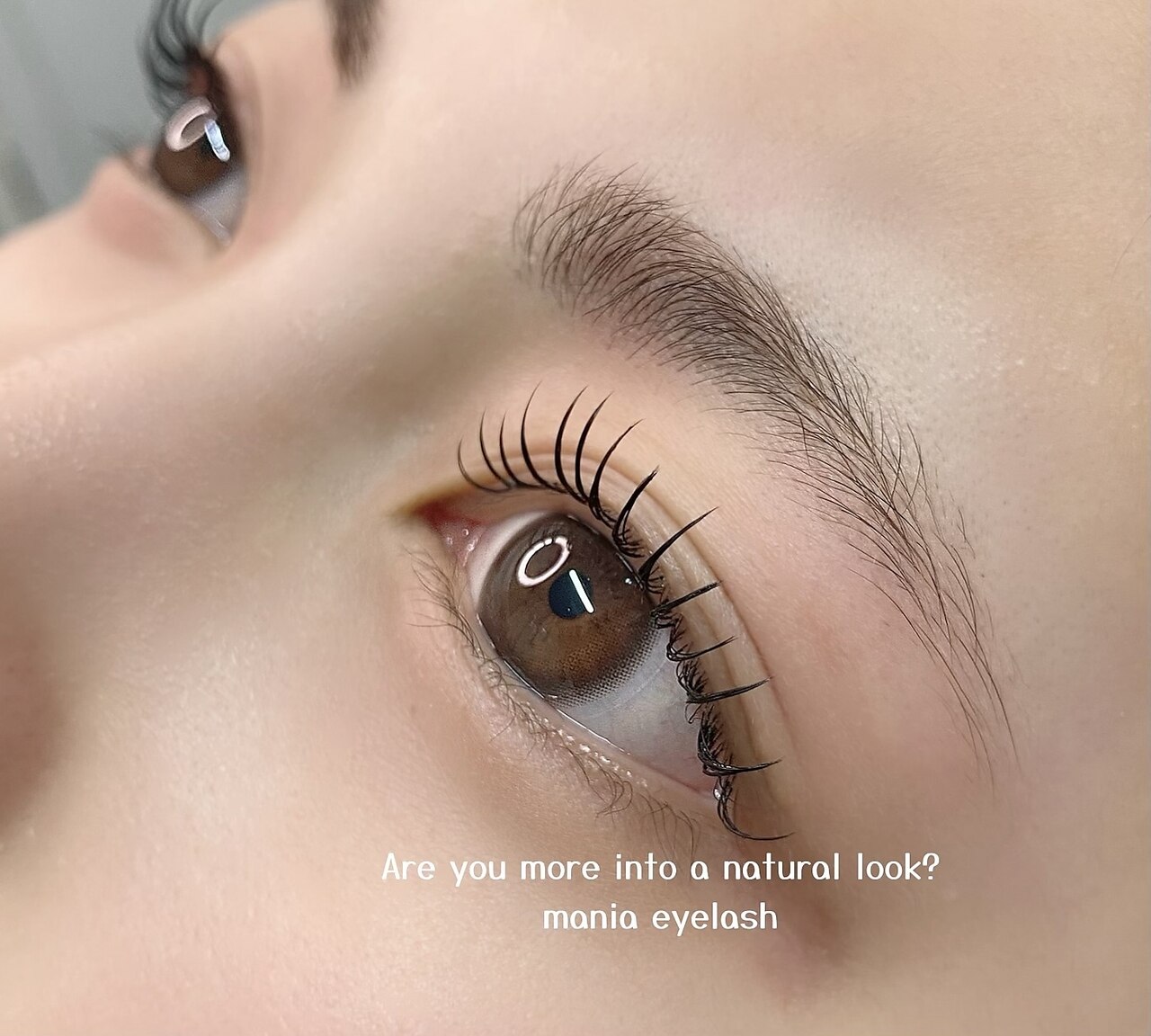 【人気No.1☆初回限定】パリジェンヌラッシュリフト(ブラックティント込み)