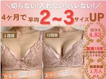 バストサロン メルベイユ(Merveile)