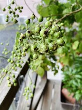 わたなべ整体院/