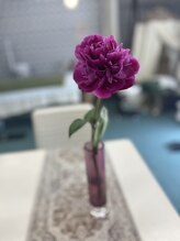 マシュマロハンド/よもぎ蒸し/冷え/むくみ改善