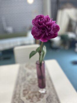 マシュマロハンド/よもぎ蒸し/冷え/むくみ改善