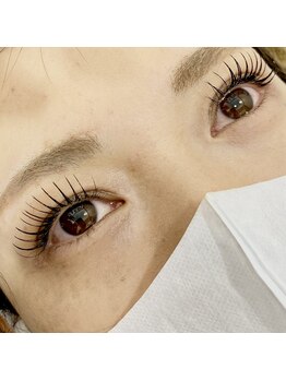 ブラフ(B.R.AP.h)/フラットラッシュ140本