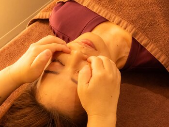 アレモナ(AREMONNA)/整顔ヘッド（オプション）