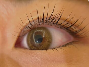 クルール(couleur)/まつ毛パーマ上+下