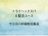 【頭皮や髪質でお悩みの方】 ドライヘッドスパ&髪活コース110分  ¥15800