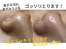 カンパニュラ(campanula)