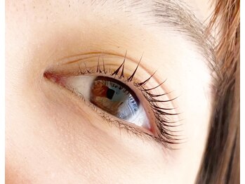 シマー(shimmer)/立ち上げカール!