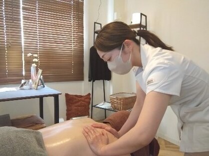 サルビア(SALVIA)の写真