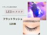 3/22迄LEDフラットラッシュ120本◇他店オフ無料&カラーエクステ付け放題付★