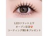 OPEN記念★LEDフラット 上下160本+コーティング剤1本 10000円