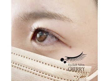 チェリー(CHERRY)/フラット ブラウン 120本