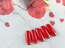 2月 ハンド定額シンプル