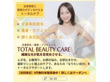アイエルシーサーティースリー(ilc-33)