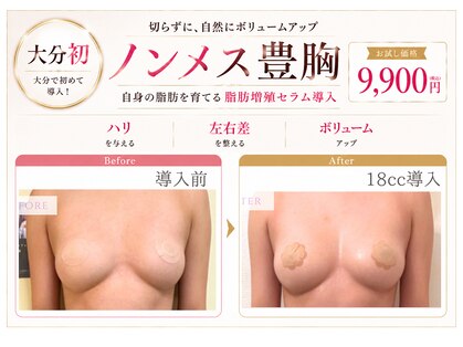 ナナイロ(nanairo)の写真