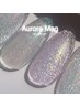 【ハンド】4色限定！ポリッシュジェル★マグネットジェルワンカラー¥4,928