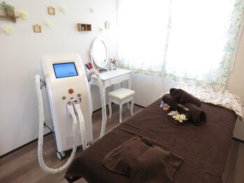 カラーリーフ(Color Leaf)