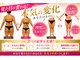 ソエルテ(soerute)の写真