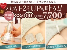 美人バスト 岡崎店