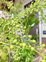 わたなべ整体院/