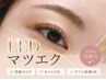 LEDフラット100本 ＊ ¥9,650→¥5,500 モチを良くしたい方は断然LED＊平日限定