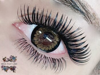 ラニカイ(LANIKAI)/メガエダムラッシュ上下☆