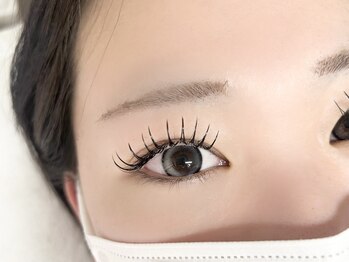 ミニョン(mignon.)/フラットラッシュ120本