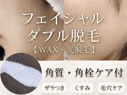 ミモザ(MIMOZA)の写真