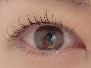 カラン 焼津店(CALIN)/上下ラスティングカール