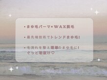 シーク デア(Seek-Dea)/