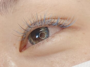 シャッツ(SCHATZ)/カラーエクステ