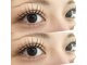 ビューティー アイラッシュ ベルウインク(Bellewink)の写真
