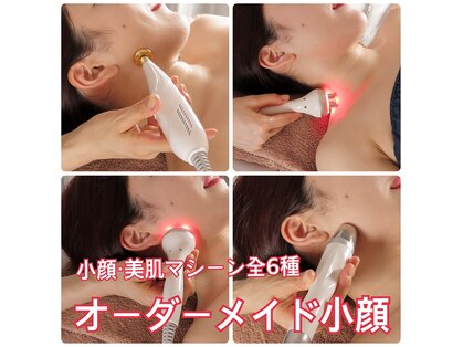 スターチス(Statice)の写真